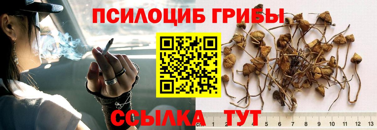 Псилоцибиновые грибы мицелий Учалы